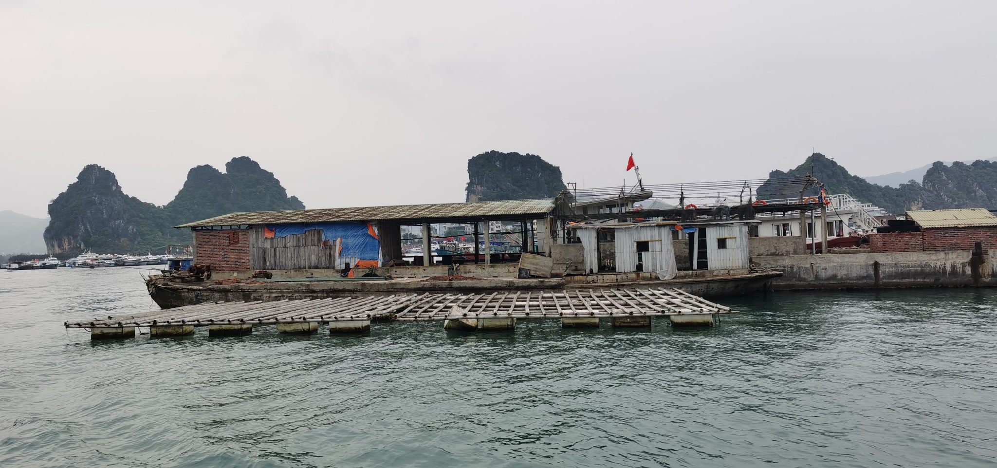 Quảng[-]Ninh[-]loại[-]bỏ[-]'bẫy[-]tử[-]thần'[-]trên[-]biển[-]để[-]cứu[-]môi[-]trường